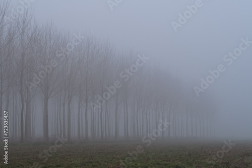 Po Valley foggy misty smoke landscape fields crops