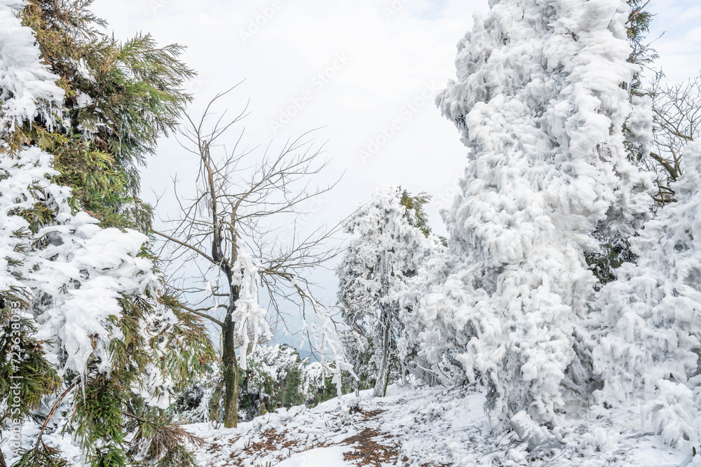 Rime scenery at Zigai Peak in Hengshan Mountain, Nanyue, China Rime scenery at Zigai Peak in Hengshan Mountain, Nanyue, China