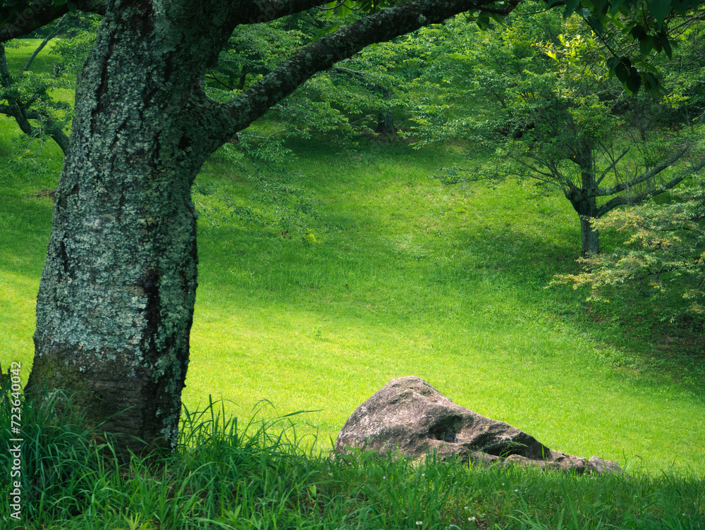 A serene landscape featuring a textured tree trunk, lush green grass, and a large rock amidst the vibrant greenery.