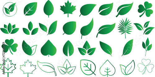 Green leaves vector icons collection, vibrant, minimalist design. Perfect for eco friendly branding, web design, presentations. Various leaf shapes representing different plant species