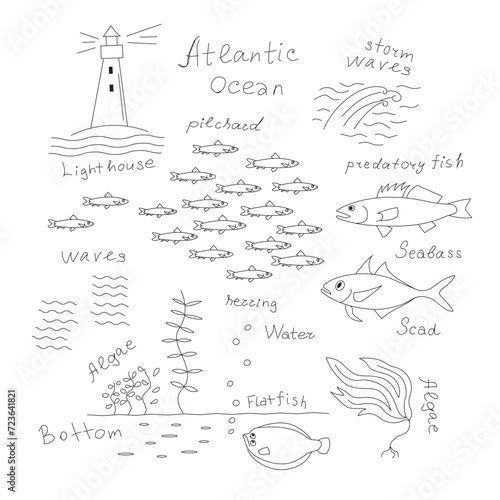 Atlantic ocean, sea fish and seaweed, lighthouse, sea bottom. Hand drawn black realistic outline vector illustration.
