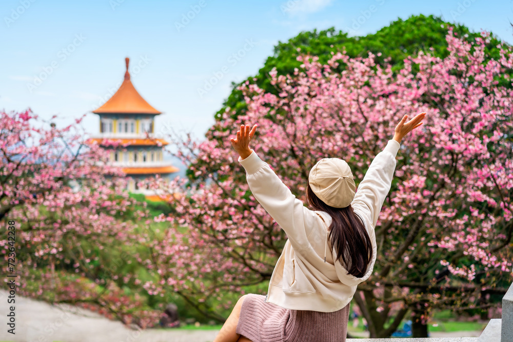 Naklejka premium Young female tourist relaxing and enjoying the beautiful cherry blossom at Wuji Tianyuan temple in Taiwan