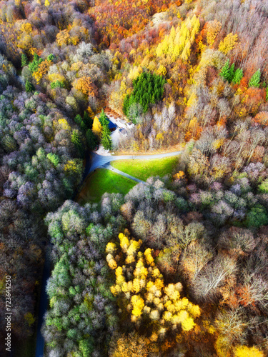 Autumn in forest aerial top view. Mixed forest. Soft light in countryside woodland or park. Drone shoot above colorful green texture in nature