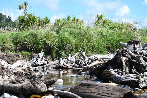 Stream with driftwood 