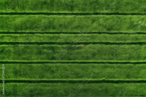 Vibrant green lawn. Wonderful and awesome vegetation with right lines. Generate AI