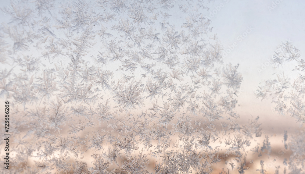 Obraz premium Delicate Frost Splendor