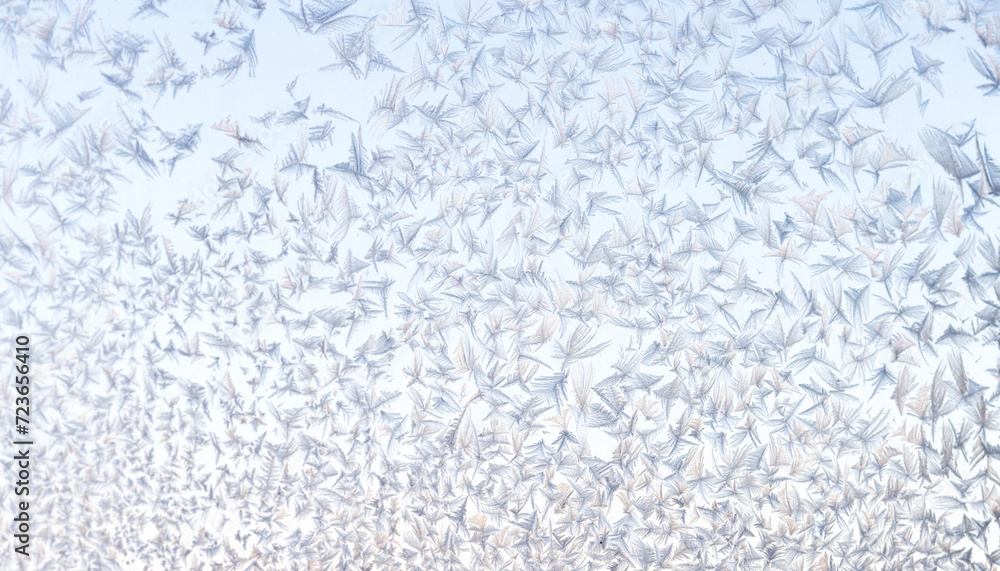 Frosty Whispers on Glass Frosty Whispers on Glass