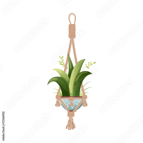 Houseplant and macrame plant growing in pots. Beautiful handmade home decorations macrame plants isolated on white background. Cartoon flat illustration.