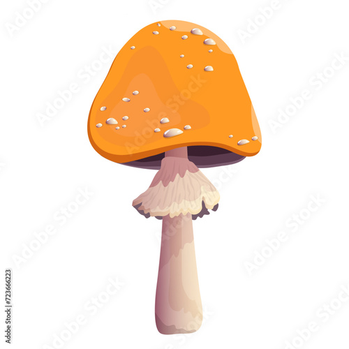 Honey fungus, armillaria mellea, toadstool, wild mushroom, inedible mushroom. Organic, poisonous mushroom. Hyfoloma fasciculata. Cartoon mushroom on a white background. Type of forest mushrooms.