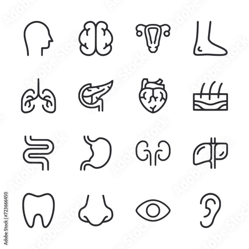 set of icons human organs photo