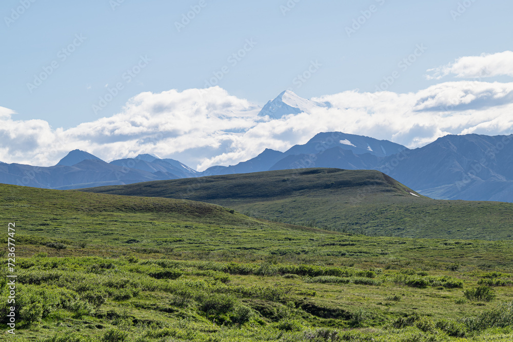 Scenic Mountains Denali, Denali National Park, Alaska