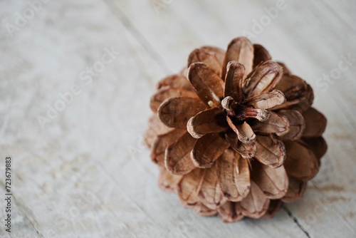 Pine cone on top of wooden table with space for text.