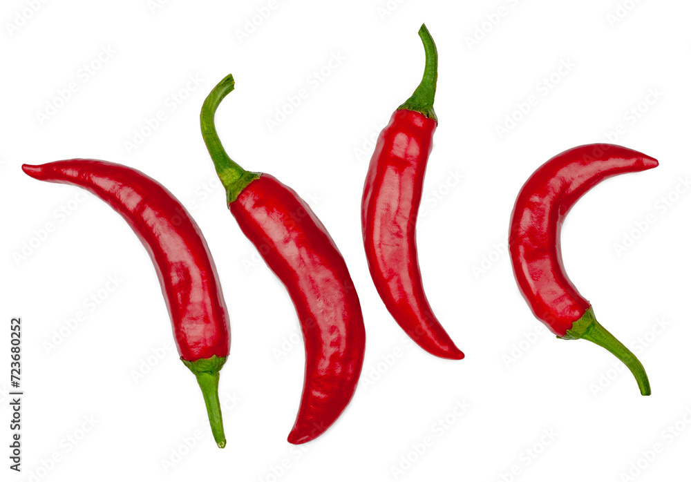 Pepper bitter isolated on a white background , top view