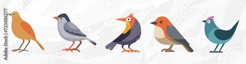 Vogel Illustrationen Vektor Grafik Bundle