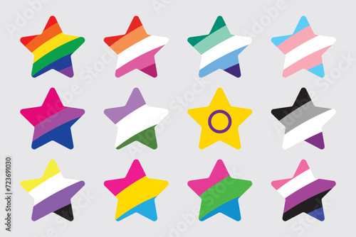 LGBTQIA star shape pride flag flat design icon set. Pride month concept.