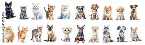 Safari Animal set cats of different breeds in watercolor style. Isolated flat vector illustration