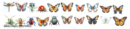 Illustration of many different types of insects. Isolated flat vector illustration