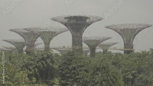 Supertrees en Singapur photo