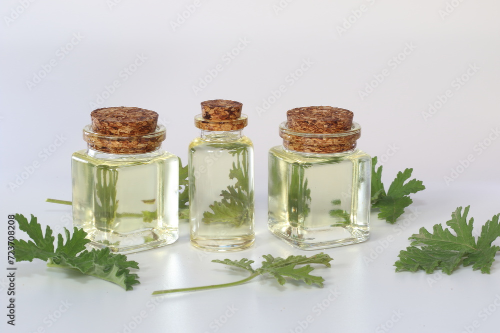 geranium essential oil in bottle on white background geranium essential oil in bottle on white background