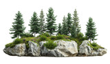 Rock with trees, clipping path