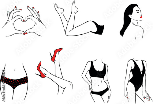 Woman body vector icons, graphics, elegant feminine, legs, hands, fashion style, beauty model line art minimal illustration (ID: 723710278)