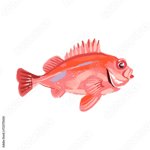 Watercolor acrylic gouache hand drawn seabass fish. Seafood painted isolated vector illustration