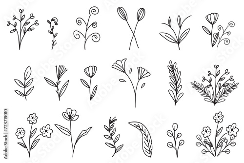 set of hand drawn line flower isolated on white background. simple botanical line
