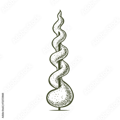 Sketch of topiary conifers. Sheared thuja spiral. Geometric trees for advertising and landscape design. Isolated on white background. Vector