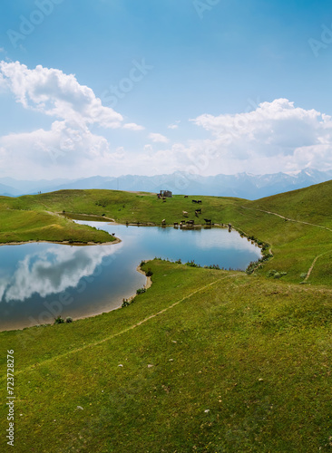 Aerial view at the Koruldi lakes. Green hills, high mountain pastures. Summer day. The cows came to the water. The concept of hiking. Vertical photo