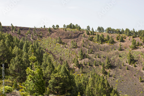 Scene of the Birigoyo peak, La Palma Island, Canary Islands. photo