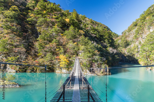 日本　静岡県川根本町、寸又峡の夢の吊り橋と仄かに紅葉した木々 photo