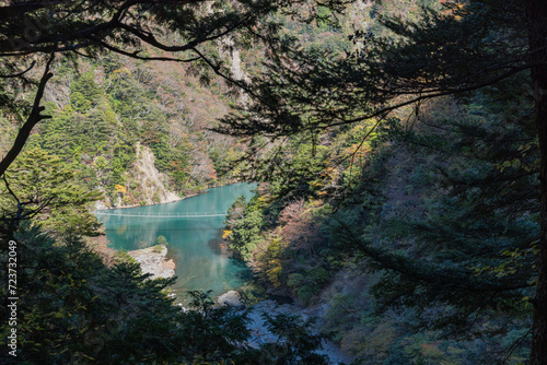 日本　静岡県川根本町、寸又峡の夢の吊り橋 photo