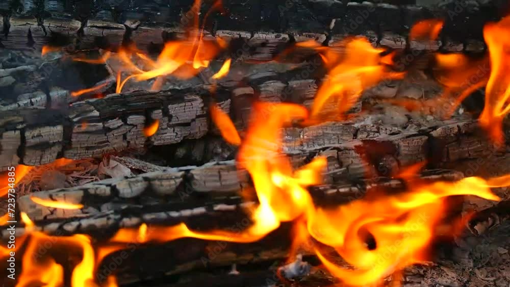 burning wood and paper. firewood is burning. tongues of flame. orange flame. bonfire. wood-fired cooking. firewood is burning for cooking barbecue burning wood and paper. firewood is burning. tongues of flame. orange flame. bonfire. wood-fired cooking. firewood is burning for cooking barbecue