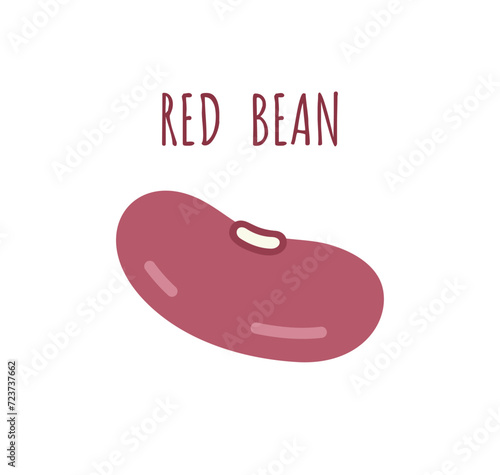 Red bean grain, phaseolus vulgaris, red kidney beans. Vector illustration isolated on white background.