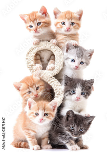 number eight made from little cute kittens, March 8, international women's day, holiday, card, pet, design, gift, congratulation, celebration, furries, cats