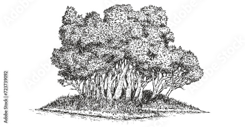 Sketch island with trees on lake or river isolated on white background. Hand draw composition in monochrome vintage style. Vector illustration.