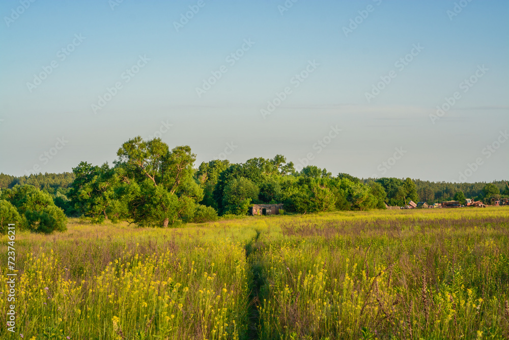 path in the field near a village
