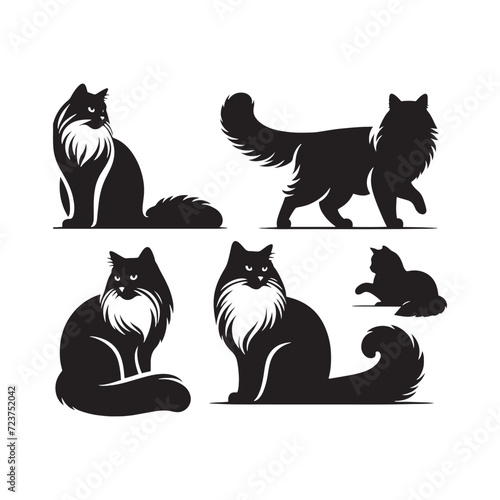 Fluffy Silhouettes: Ragdoll Cat Silhouette Collection Showcasing the Fluffiness and Softness of this Irresistible Cat - Ragdoll Cat Illustration - Ragdoll Cat Vector
