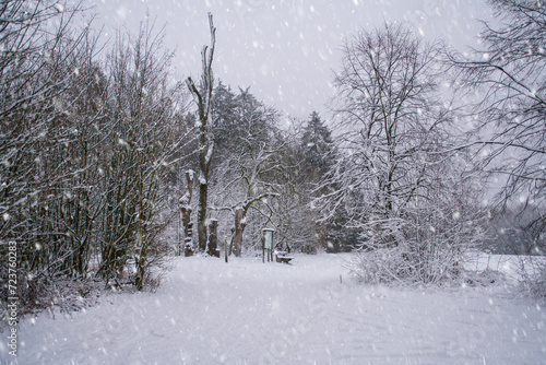 Winterliches Eggegebirge, Teutoburger Wald