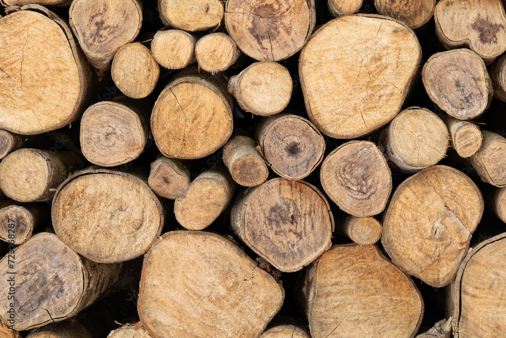 Background of cut logs close up. Background of cut logs close up.