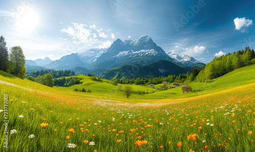 Panoramic view of beautiful landscape in the Alps with fresh green meadows and blooming flowers and snow-capped mountain tops in the background on a sunny day with blue sky and clouds in springtime. photo