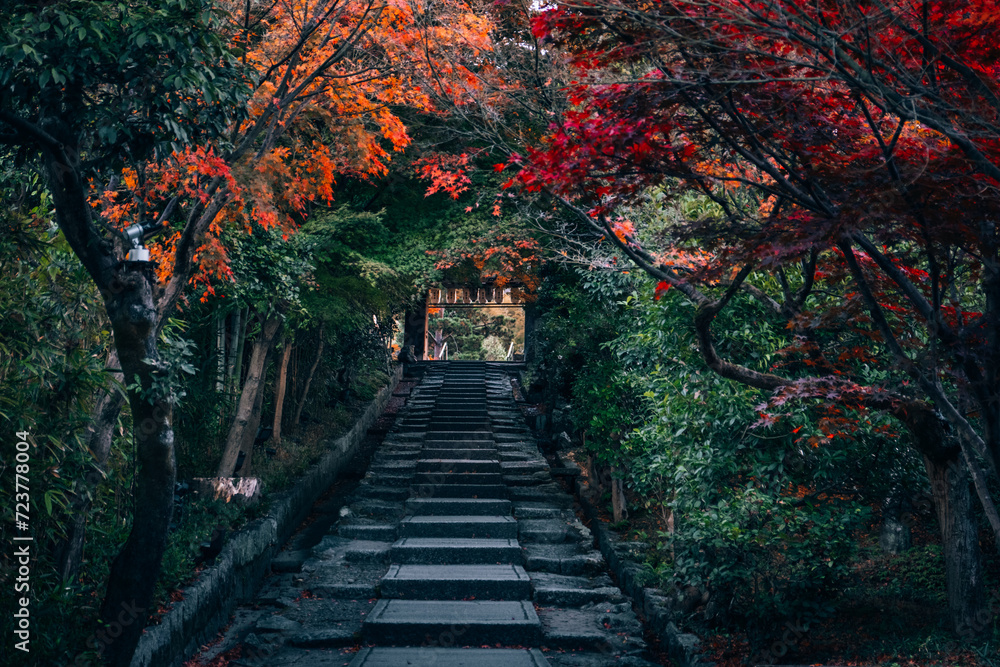 Kyoto, Japan 