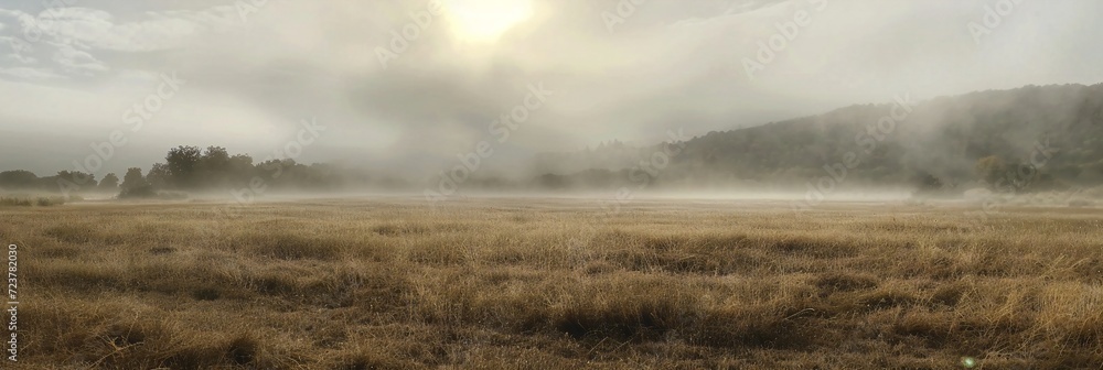 field shrouded in mist and fog with some daisies on the field edge and trees in the background, panorama