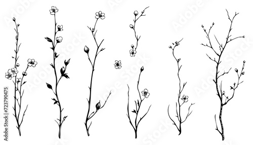 Bloomy Charry Twigs Hand Drawn Detailed Vector Set