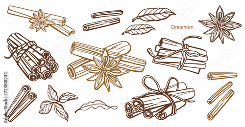 Isolated hand drawn vector set of cinnamon in engraving style. Braun and chocolate colors. Cinnamon sticks and star anise. Style spice and flavor object. Cooking and aromaterapy ingredient.