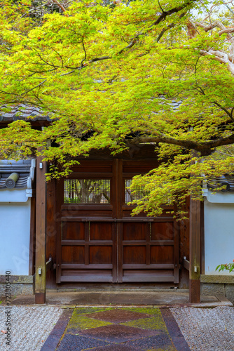 Japanese Garden at Shinnyodo temple in Kyoto, Japan photo