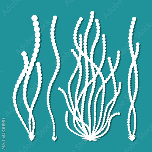 Seaweed set. Long thin leaves of an underwater plant. Round wavy branches. White algae on a green background. Template for plotter laser cutting of paper, fretwork, wood carving, metal engraving, cnc.