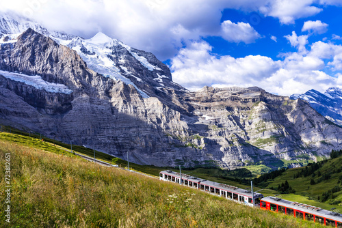 Idyllic swiss landscape scenery. Green pastures, snowy peaks of Alps mountains and railway road with passing train. Kleine Scheidegg station, Switzerland.