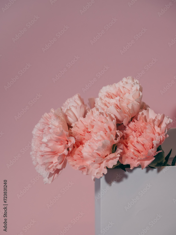 Bouquet of soft pink carnations in a white paper bag close-up on a pink background Bouquet of soft pink carnations in a white paper bag close-up on a pink background