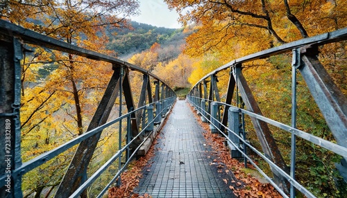beautiful vertical shot of an iron bridge in the forest at fall